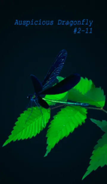 [LINE着せ替え] 吉兆 神様トンボ #2-11の画像1