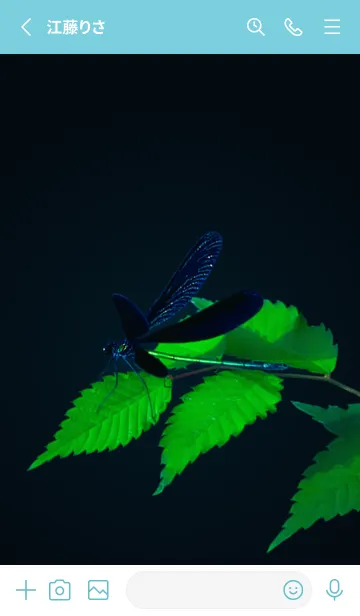 [LINE着せ替え] 吉兆 神様トンボ #2-11の画像2