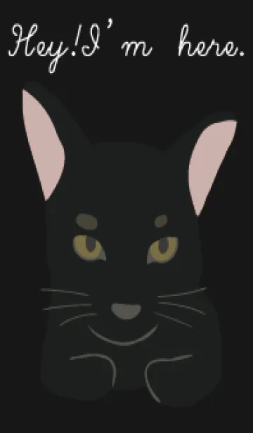 [LINE着せ替え] 黒猫 ： 彼の名前は10ドルの画像1