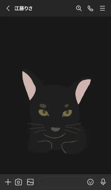 [LINE着せ替え] 黒猫 ： 彼の名前は10ドルの画像2