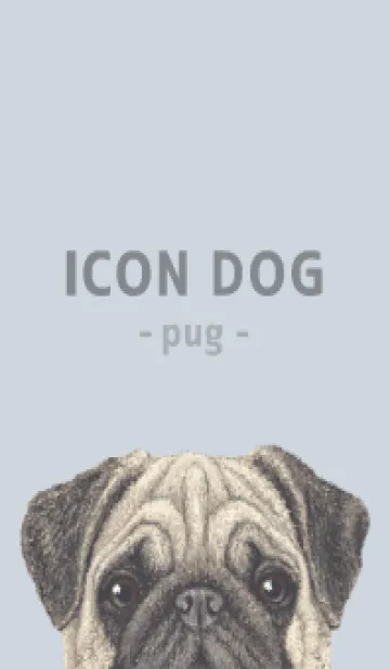 [LINE着せ替え] ICON DOG - パグ - PASTEL BL/02の画像1