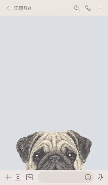 [LINE着せ替え] ICON DOG - パグ - PASTEL BL/02の画像2