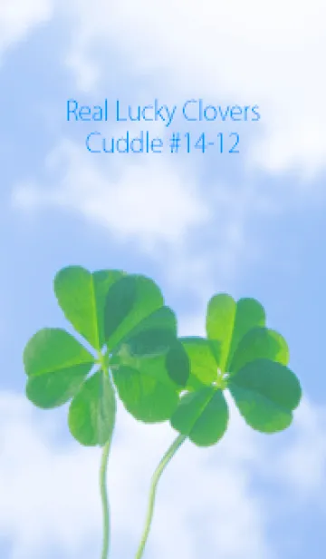 [LINE着せ替え] 五つ葉のクローバー Cuddle #14-12の画像1