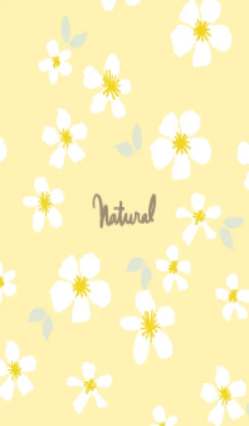 [LINE着せ替え] 白い花 大人カラー2の画像1