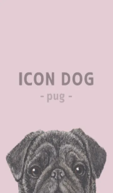 [LINE着せ替え] ICON DOG - パグ - PASTEL PK/03の画像1