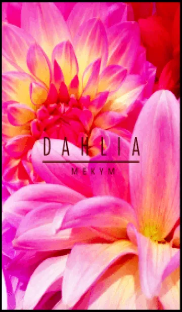 DAHLIA flower - MEKYM 2のLINE着せ替え