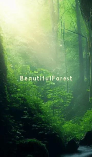 Beautiful Forest-MEKYM 8の着せ替えメイン画像