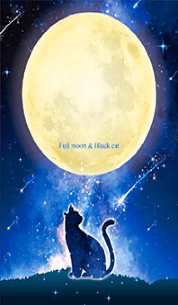[LINE着せ替え] 幸福を呼び込む✨満月と黒ネコの画像1