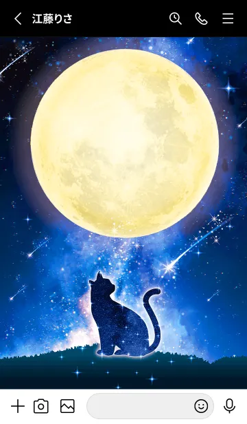 [LINE着せ替え] 幸福を呼び込む✨満月と黒ネコの画像2