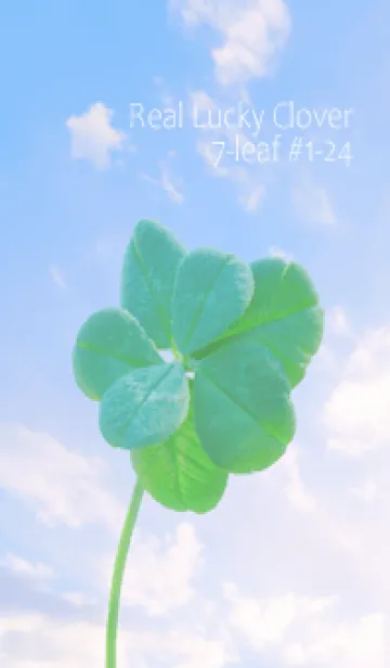 [LINE着せ替え] 本物ラッキークローバー 7-leaf #1-24の画像1