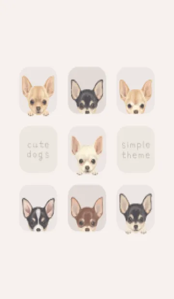 [LINE着せ替え] DOGS - チワワ - ベージュの画像1