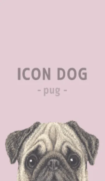 [LINE着せ替え] ICON DOG - パグ - PASTEL PK/04の画像1