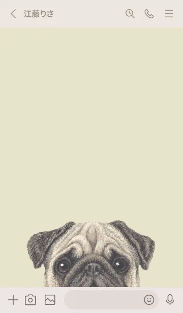 [LINE着せ替え] ICON DOG - パグ - PASTEL YE/04の画像2
