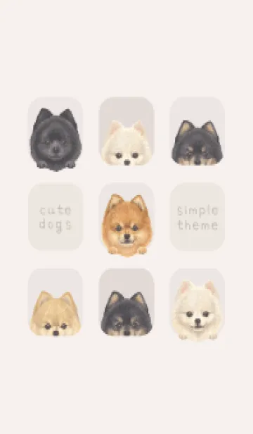 [LINE着せ替え] DOGS - ポメラニアン - ベージュの画像1