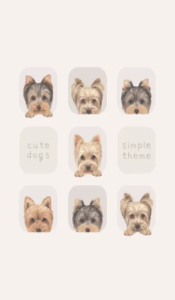 [LINE着せ替え] DOGS - ヨーキー - ベージュの画像1