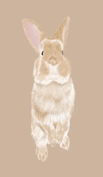 [LINE着せ替え] Rabbit202308の画像1