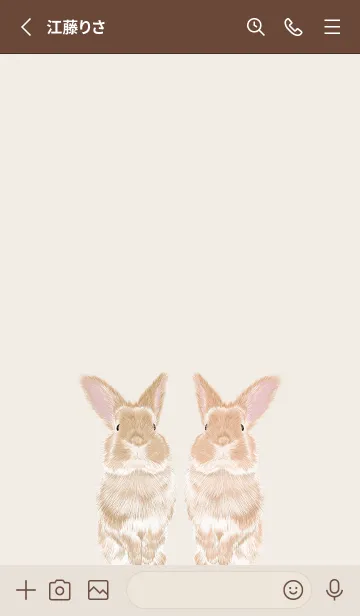 [LINE着せ替え] Rabbit202308の画像2