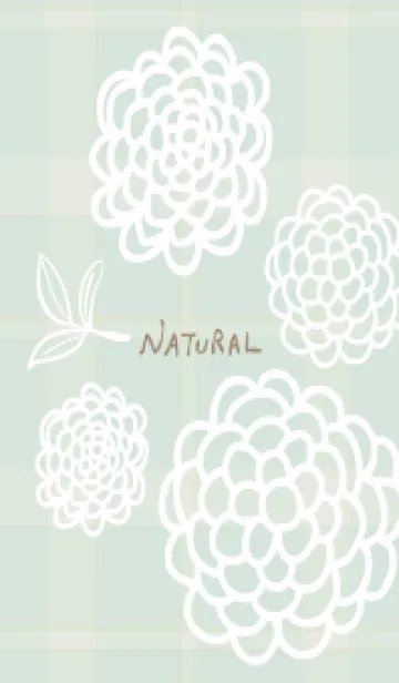 [LINE着せ替え] 白い線の丸い花と葉の画像1