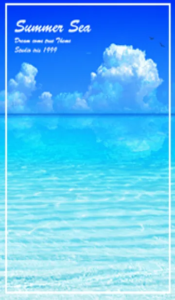 [LINE着せ替え] 夏の海とイルカ✨Summer Sea dolphins3の画像1