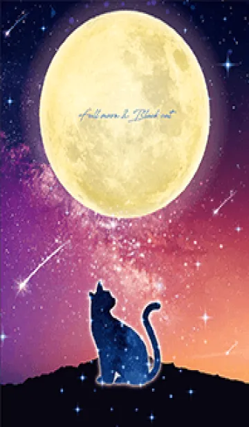 [LINE着せ替え] 願いを叶える✨満月と黒ネコの画像1