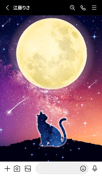 [LINE着せ替え] 願いを叶える✨満月と黒ネコの画像2