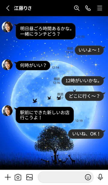 [LINE着せ替え] 開運の碧い満月★アフリカの星降る夜＊13の画像3