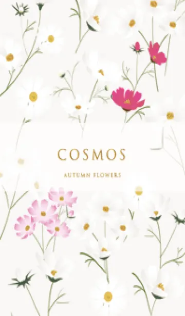 brown♡stylish秋桜03_1の着せ替えメイン画像