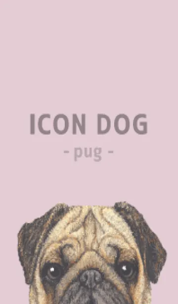 [LINE着せ替え] ICON DOG - パグ - PASTEL PK/05の画像1