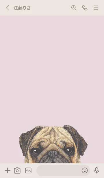 [LINE着せ替え] ICON DOG - パグ - PASTEL PK/05の画像2