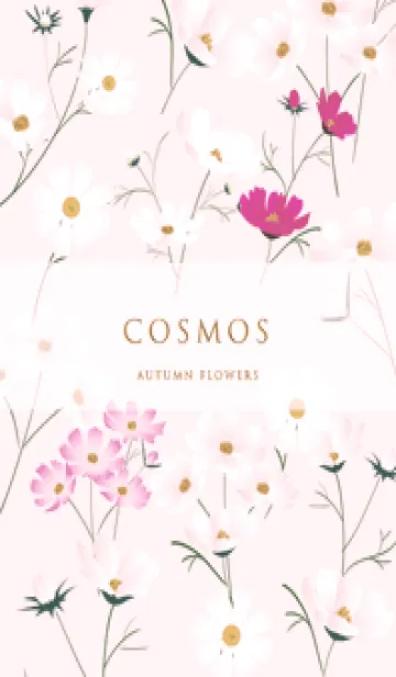 pink♡stylish秋桜10_1の着せ替えメイン画像