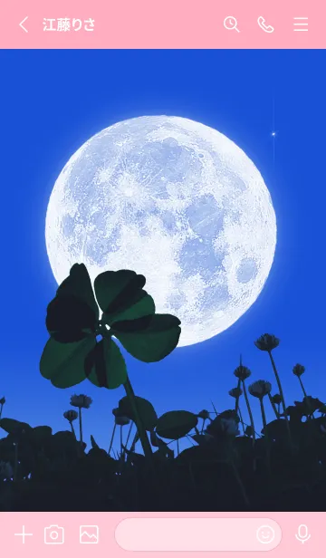 [LINE着せ替え] 7-Leaf Clover & Full Moon #1-48の画像2