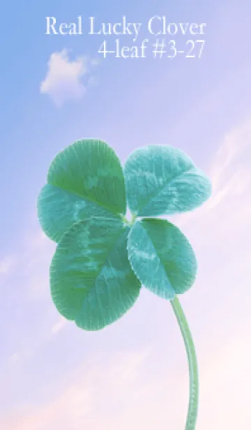 本物ラッキークローバー 4-leaf #3-27の着せ替えメイン画像