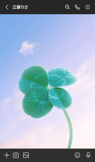 [LINE着せ替え] 本物ラッキークローバー 4-leaf #3-27の画像2