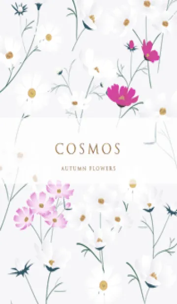violet♡stylish秋桜04_1の着せ替えメイン画像