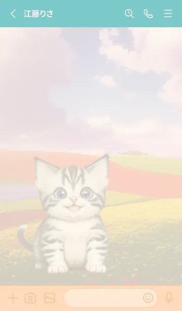 [LINE着せ替え] カラフルな花畑の子猫の画像2