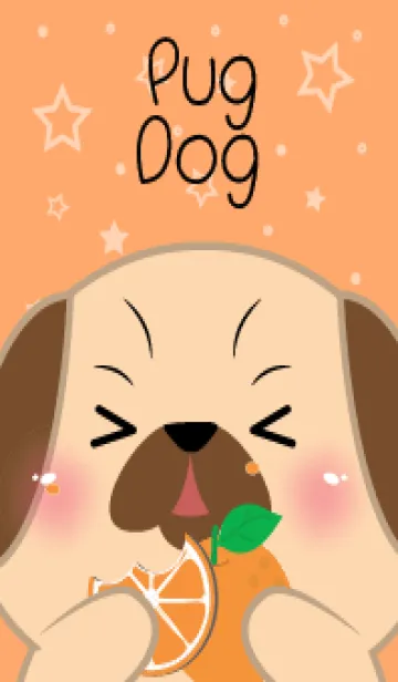 [LINE着せ替え] Pug Dog Love Orange Theme (JP)の画像1