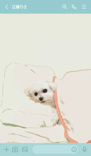 [LINE着せ替え] マルチーズ雪ちゃん(改訂版)の画像2