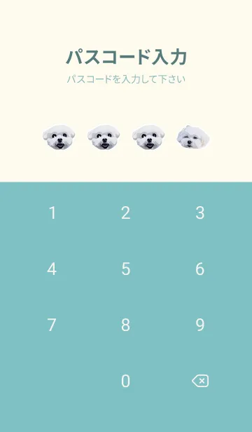 [LINE着せ替え] マルチーズ雪ちゃん(改訂版)の画像4