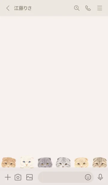 [LINE着せ替え] CATS - スコティッシュ - ベージュの画像2