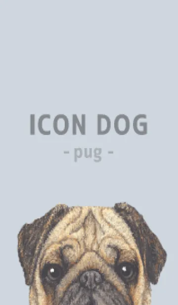 [LINE着せ替え] ICON DOG - パグ - PASTEL BL/05の画像1