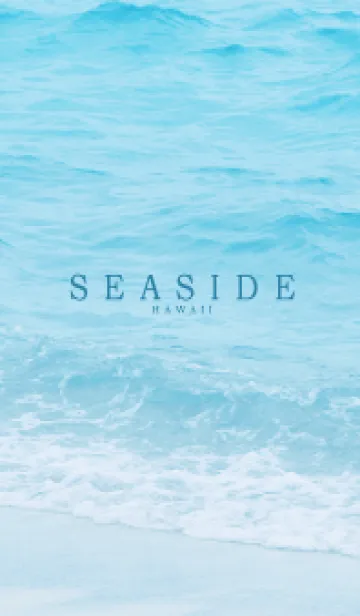 SEASIDE-HAWAII MEKYM 23の着せ替えメイン画像