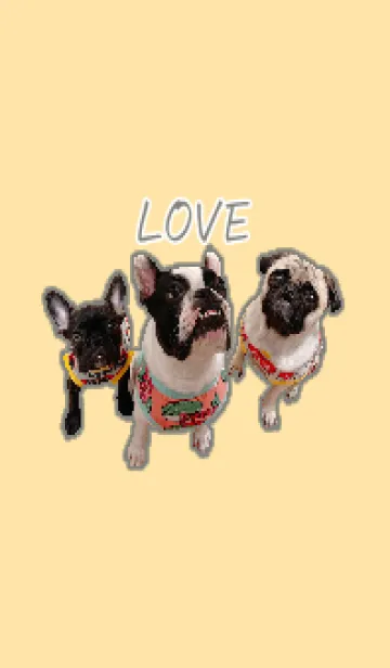 [LINE着せ替え] わんちゃんズ 可愛い着せ替えの画像1