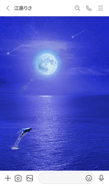 [LINE着せ替え] 運気上昇 月とイルカ 7章の画像2