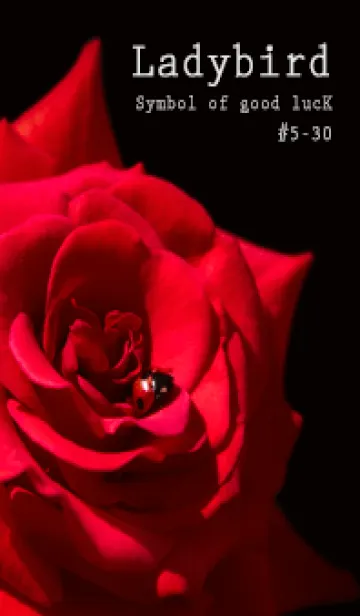 [LINE着せ替え] Ladybird Symbol of good luck #5-30の画像1