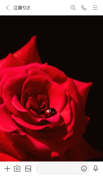 [LINE着せ替え] Ladybird Symbol of good luck #5-30の画像2