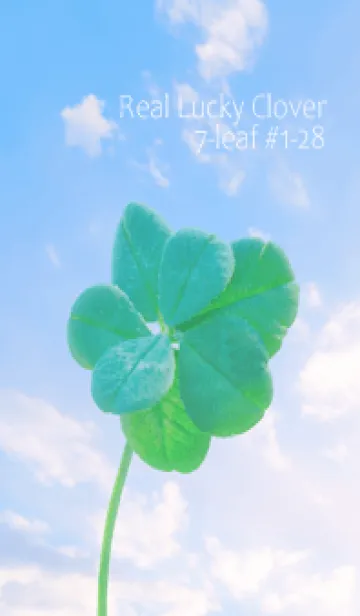 [LINE着せ替え] 本物ラッキークローバー 7-leaf #1-28の画像1