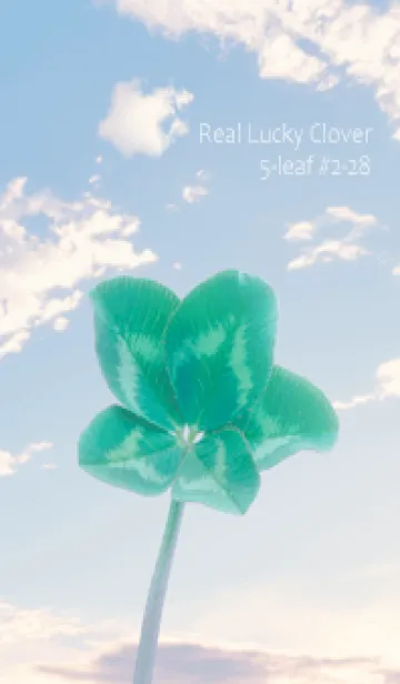 [LINE着せ替え] 本物ラッキークローバー 5-leaf #2-28の画像1