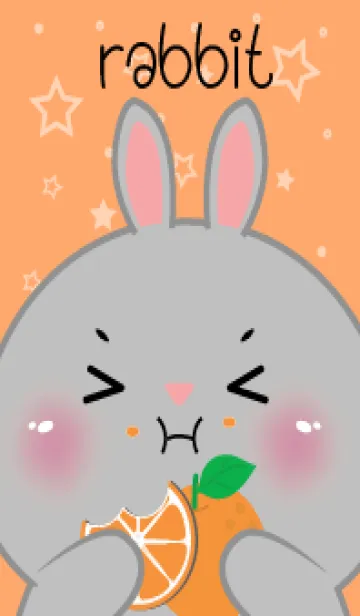 Rabbit Love Orange Theme (JP)の着せ替えメイン画像