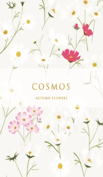 [LINE着せ替え] beige♡stylish秋桜05_1の画像1