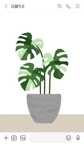 [LINE着せ替え] Minimalist Plantsの画像2